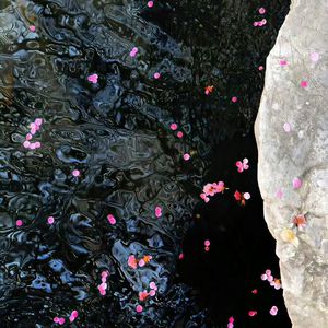 日本打白嫩㊙️光屁屁软件
